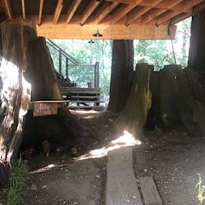 RomanticTreehouse & Breakfast