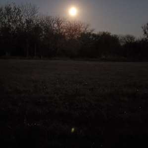 This was the view from our tent and camp fire the most beautiful night.