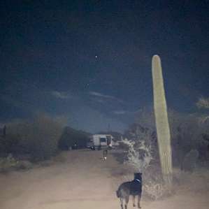 Wild Burro Desert Retreat