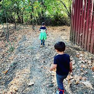 Lots of space for little ones to wander
