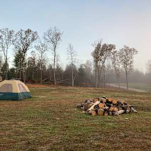 Foggy morning at camp
