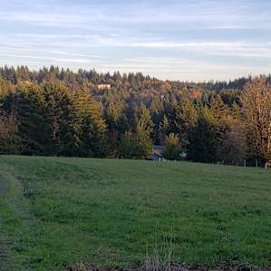 Potential camping spot in the meadow. We chose another space that was a little more level for our trailer.