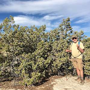 Our host Greg led us on a hike. We chewed on these Juniper berries