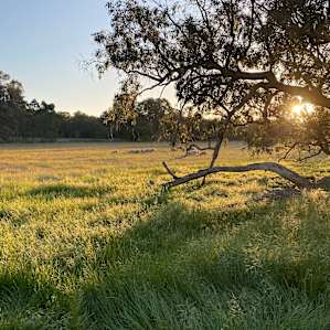 @Hammans Place - Fairbridge Paddock