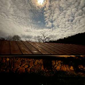 Mountain Cove Vineyards