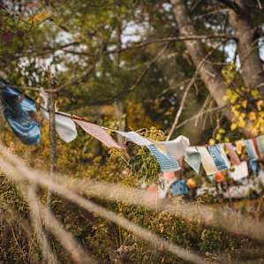 There is an amazing serene energy all through the homestead