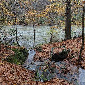 Beautiful stream emptying into Tye River