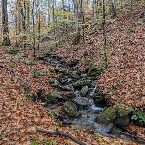 Stream emptying into Tye River, accessible from River Trail