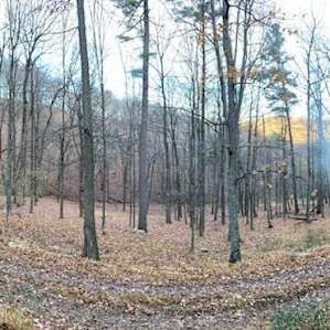 Surrounding view from Cabin site