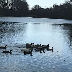 Willow's Back Spring Retreat