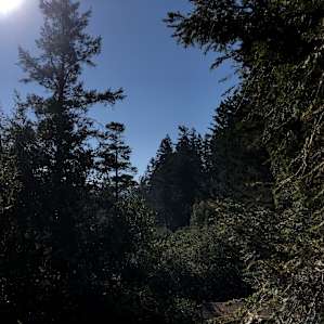 beautiful view from porch