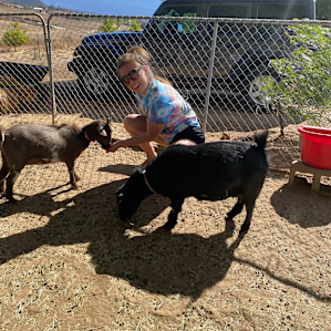 High Desert Look Out & Baby Goats!