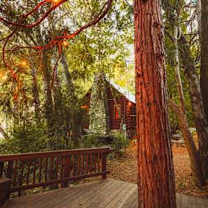 Vintage Trailer in Forest Falls