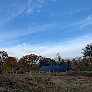 Rustic Roots Sanctuary and Farm