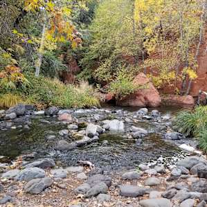 The creek is less than one minute away from the site!