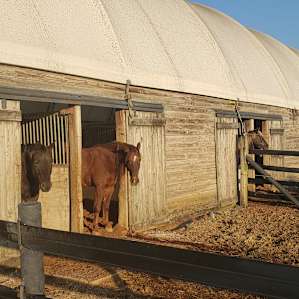 Fantastic Horse Farm