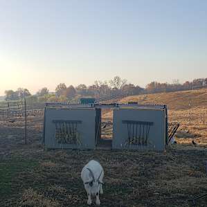 Fantastic Horse Farm