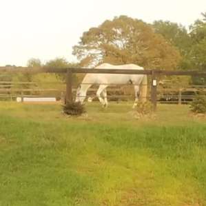 Upscale farm for your RV Resort