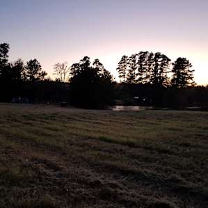 Flyin H Ranch