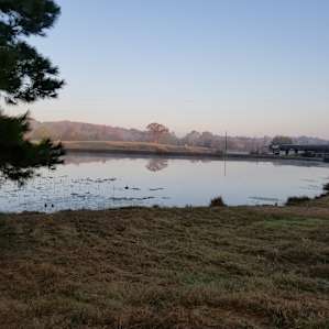 Flyin H Ranch