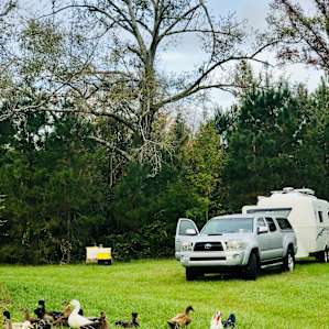 Refreshing! Don’t plan to sleep late. We were delighted to hear a rooster in the morning. There are wonderful, calm farm dogs. If you like animals you will love Moonpie Farm and Creamery. We checked in late, but had a wonderful morning enjoying the farm.