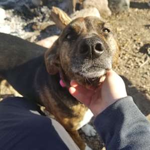 Sugar, the highlight of the trip. She's a sweetheart who stayed with us throughout the trip, keeping us company and making us feel welcome.