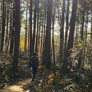 Hike up Guemes Mountain