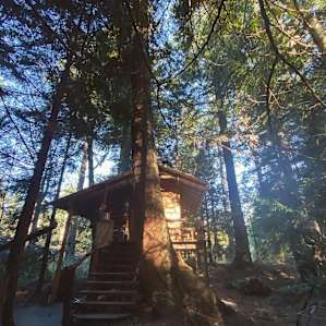 The Jess cabin in early morning light