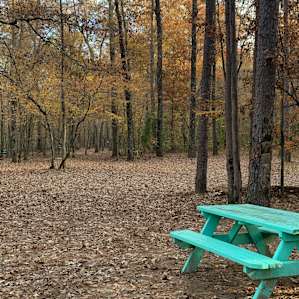Picnic table at every site