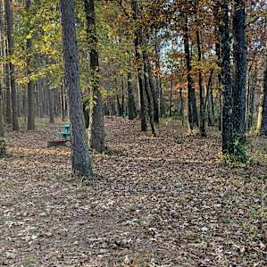 Soft forest floor for tents