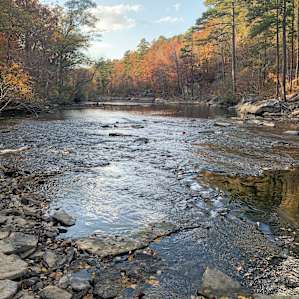 Gorgeous creek!