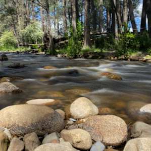 Omadale Brook Camp