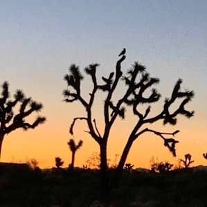 Sunrise walk from the property.