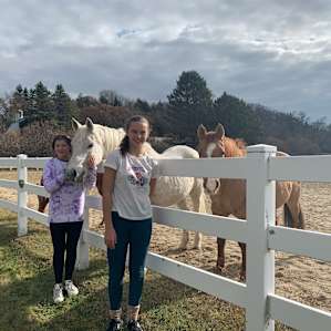 Horse Farm and Nature Retreat
