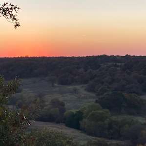 View from tasting room deck