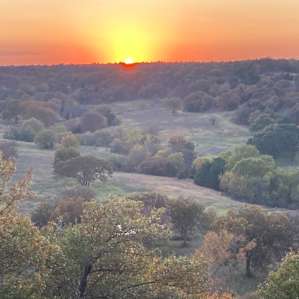 View from tasting room deck