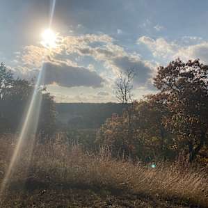 View from camp