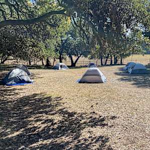 Horseback Camping In the Woods