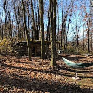 A secluded cabin with horses