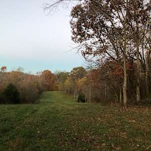 View from top of hill. Field is easy to drive and soft to sleep on!