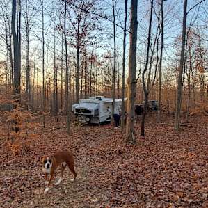 Rustic woods camping