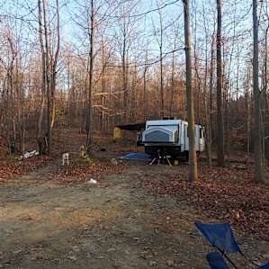 Rustic woods camping