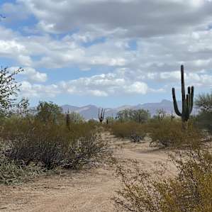 Family Friendly Desert RV site