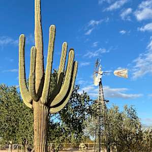 Family Friendly Desert RV site