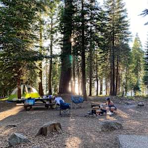 Campsite, with water gleaming behind.