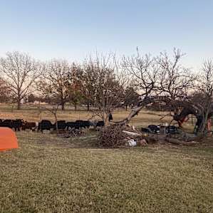 Tent Camping under the stars