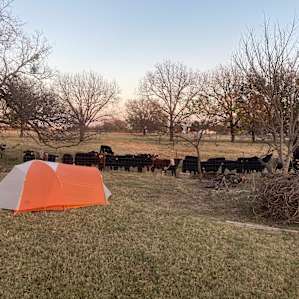 Tent Camping under the stars