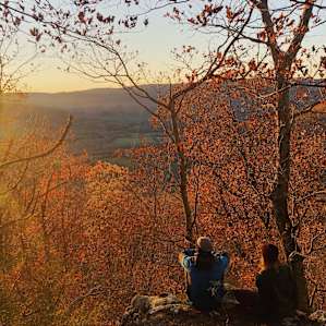 Honey and Sage Retreats