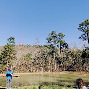 Honey and Sage Retreats