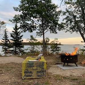 This photo does not do the view justice but we were able to place a 3 person tent to the left and PLENTY room behind this...